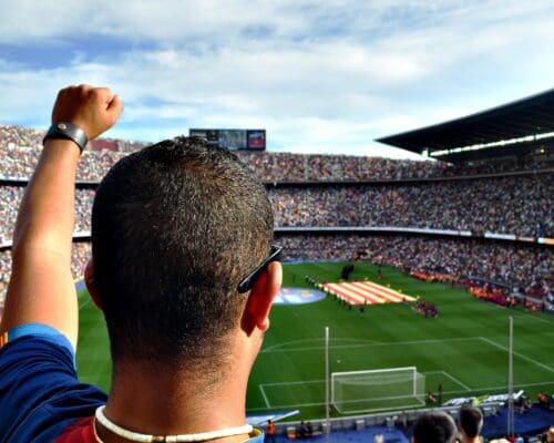 fan cheering