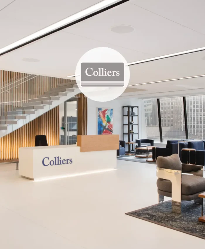 Colliers featured
